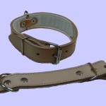 do katraogu tlo ccccff