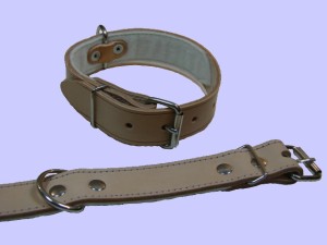 do katraogu tlo ccccff